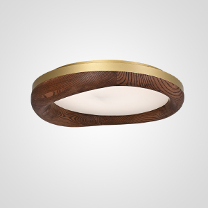 Светильник потолочный Runis01 219475-26