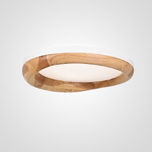 Светильник потолочный Runis01 219476-26