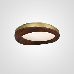 Светильник потолочный Runis01 219474-26