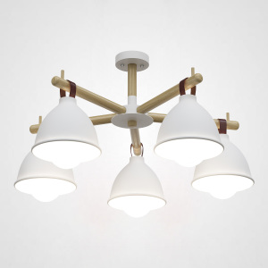 Потолочная люстра Flan01 178009-26