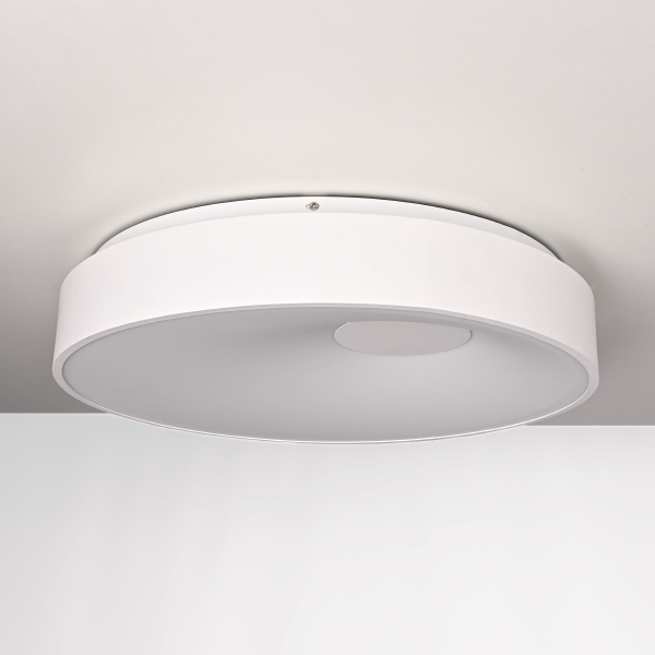 Светильник потолочный Ecla01 101547-26