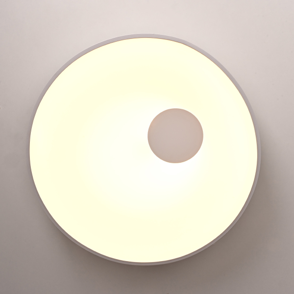 Светильник потолочный Ecla01 101547-26