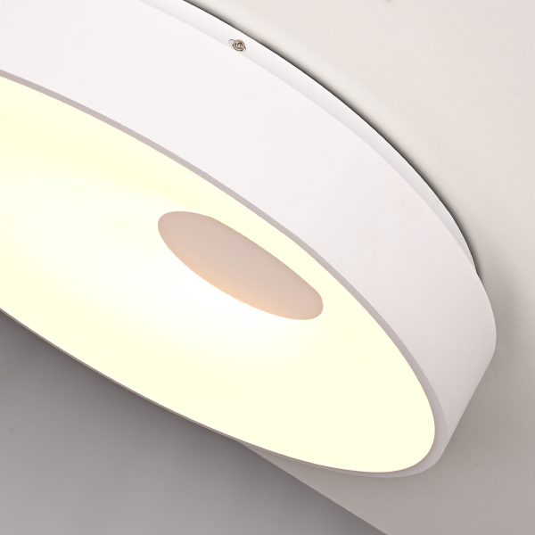 Светильник потолочный Ecla01 101547-26