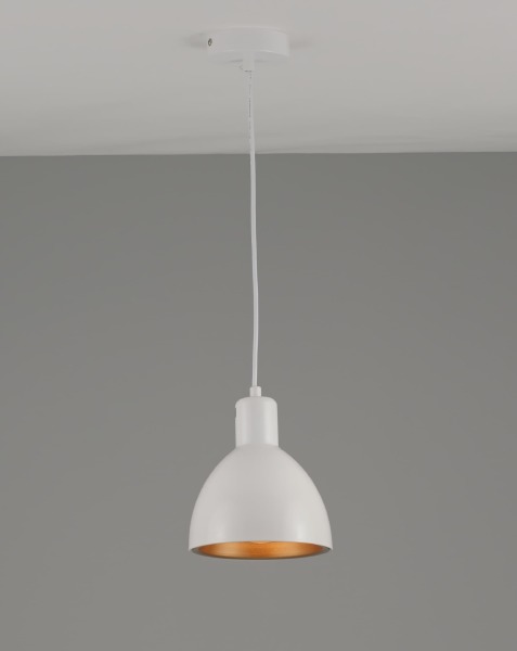 Светильник подвесной Irina V2711-1P