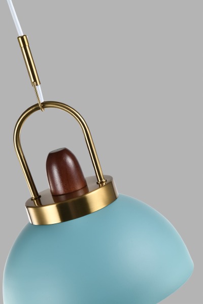 Светильник подвесной Ravenna V10447-1P