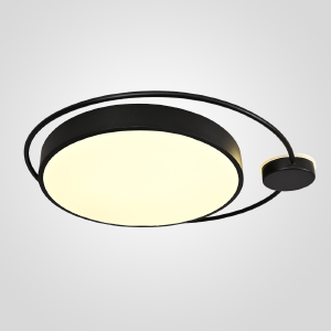 Светильник потолочный Destin01 193729-26