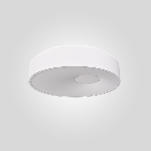 Светильник потолочный Ecla01 189550-26