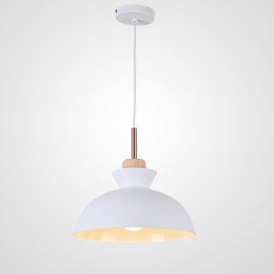 Светильник подвесной Omg1 101863-26