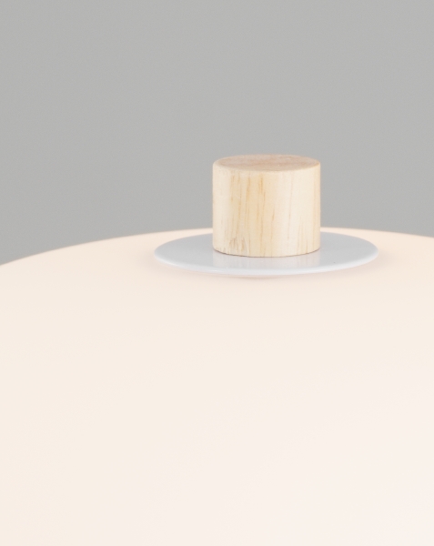 Настольная лампа Cute V10291-TL