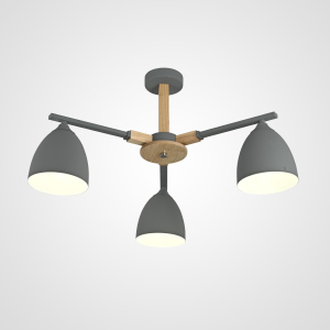 Потолочная люстра Noa01 101838-26