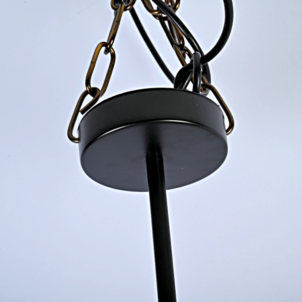 Подвесная люстра 40,1556 75148-22