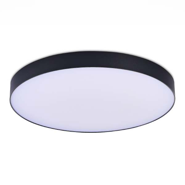 Светильник потолочный ST606.442.96