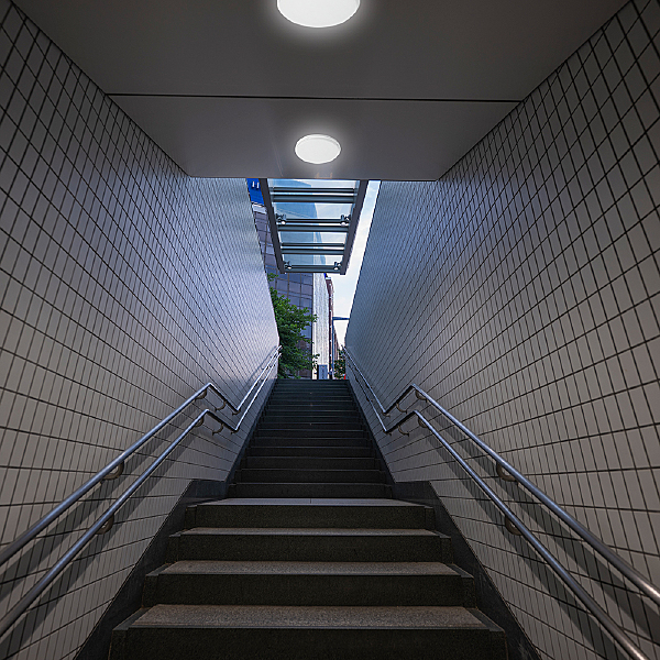 Уличный потолочный светильник ДБО 07-5-001 48516