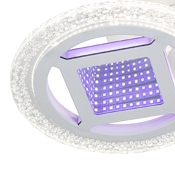 Потолочная люстра Mira 10214/2LED