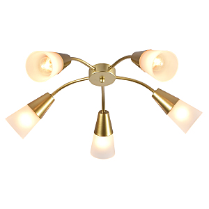 Потолочная люстра Aquilegia 1100/5P Gold