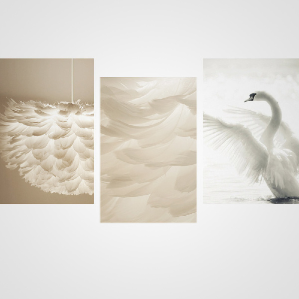 Подвесная люстра Feathers01 193198-26