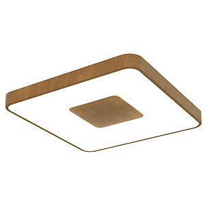 Светильник потолочный Coin 7918