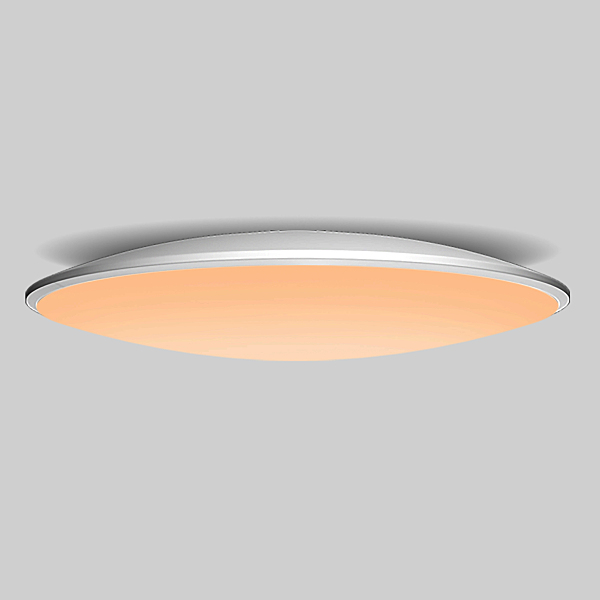 Светильник потолочный Slim 7972