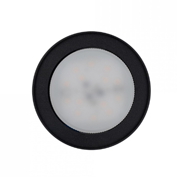 Накладной светильник Flea 8203