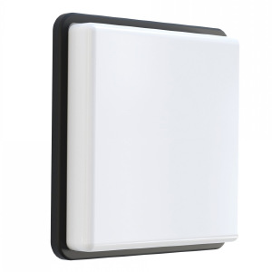 Настенно потолочный светильник Tahoe 7611