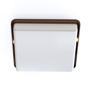 Настенно потолочный светильник Tahoe 10044