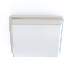 Настенно потолочный светильник Tahoe 10037