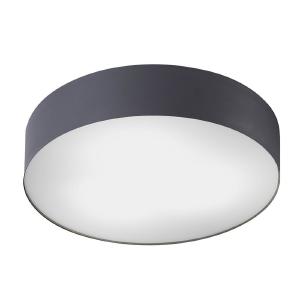 Светильник потолочный Arena 10178