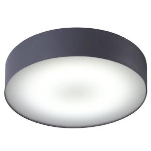 Светильник потолочный Arena 10180