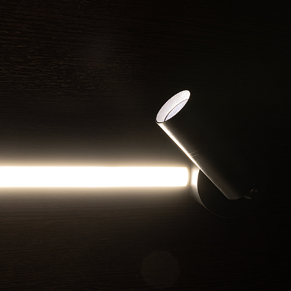 Светильник спот Arte Lamp A2219PL-2BK