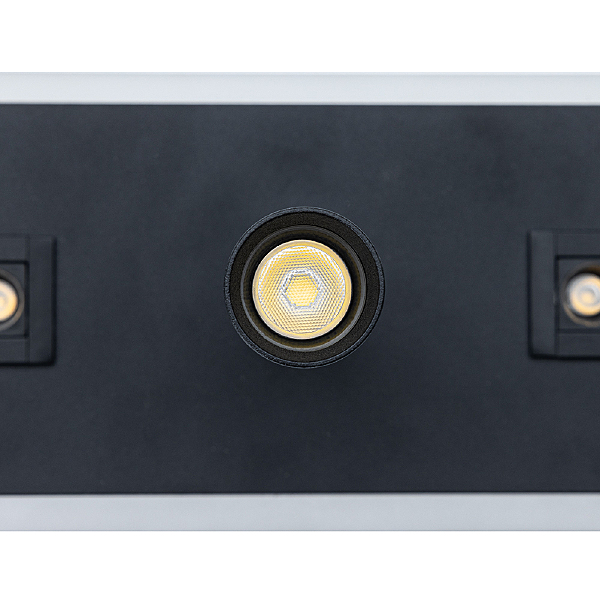Светильник спот Arte Lamp A2220PL-3BK