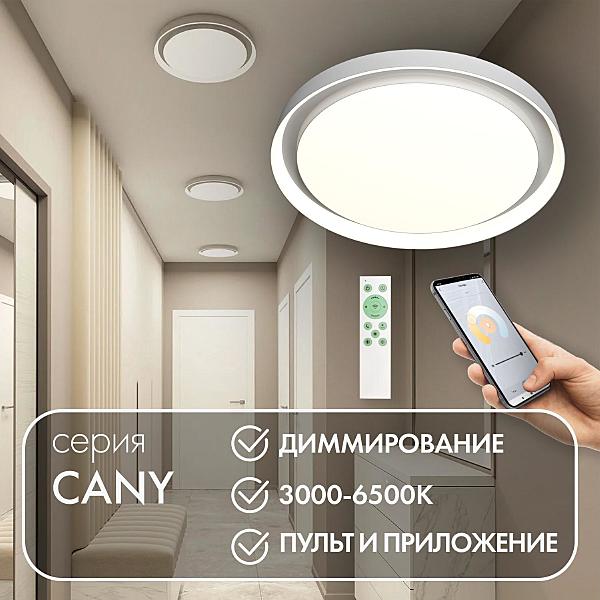 Светильник потолочный Cany DK6516-WH