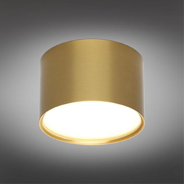 Накладной светильник Salentino OML-100929-06