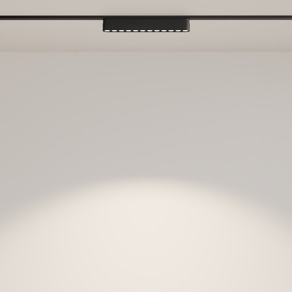 Трековый светильник POINTS Radity TR082-1-12W4K-M-B