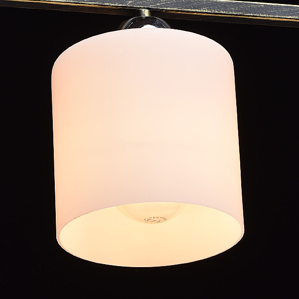 Потолочная люстра Тетро 673010803