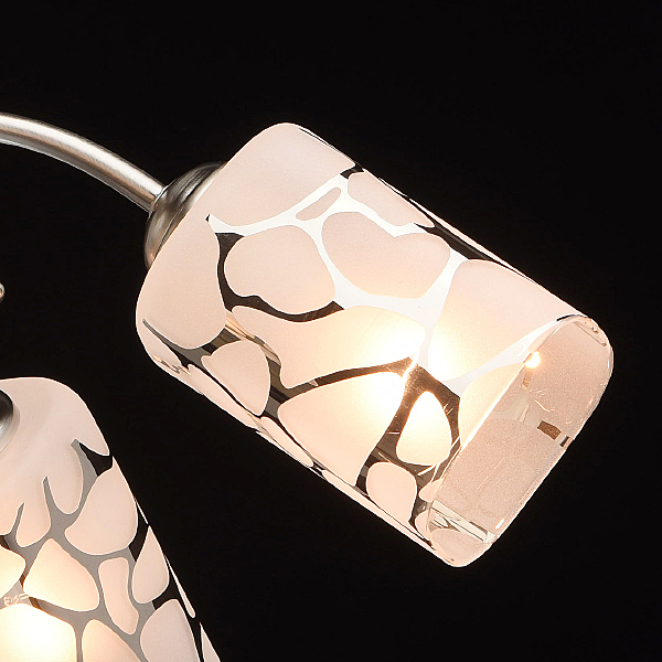 Потолочная люстра Олимпия 261019505