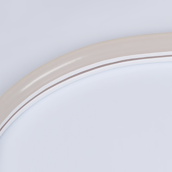Светодиодный шнур NEON 030858