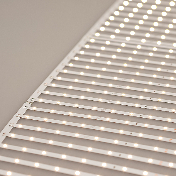 LED лента Arlight 027120(2)
