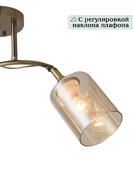 Потолочная люстра Taylor 81452/2W