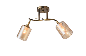 Потолочная люстра Taylor 81452/2W