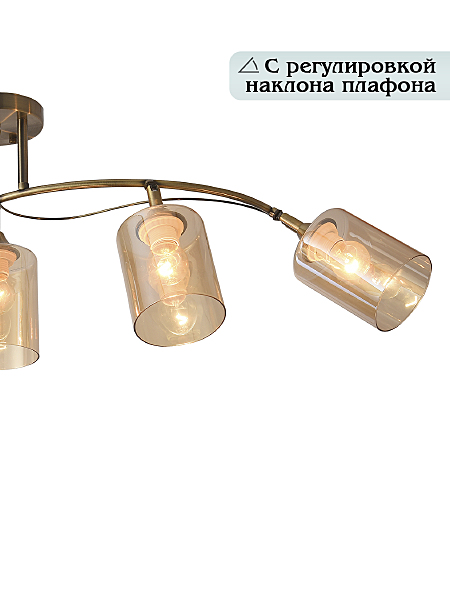 Потолочная люстра Taylor 81452/5C