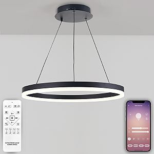 Подвесная люстра Oreol LED LAMPS 81295