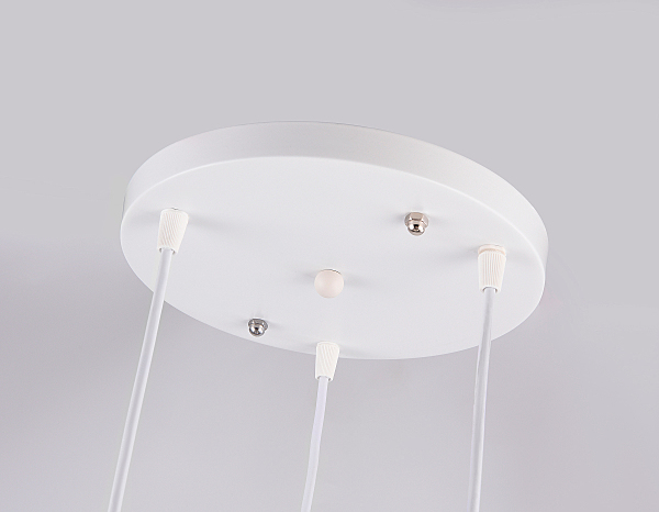 Светильник подвесной Loft TR8443