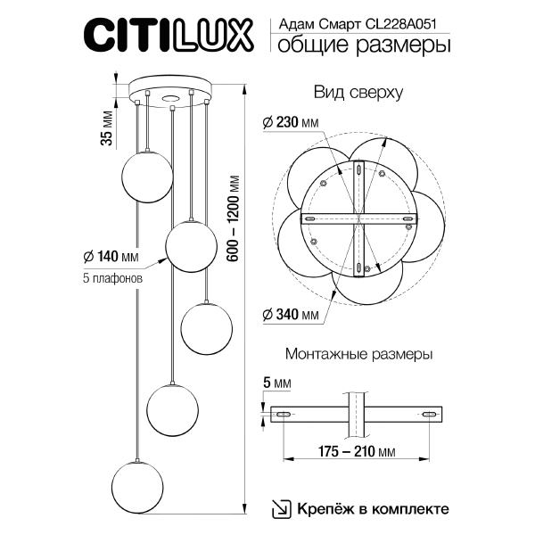 Светильник подвесной Адам Смарт CL228A051