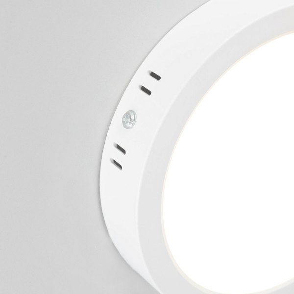 Светильник потолочный Галс CL5516N