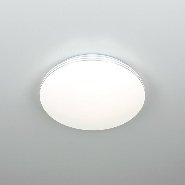 Светильник потолочный Симпла CL71424SV