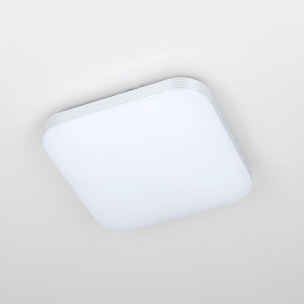 Светильник потолочный Симпла CL714K24SV