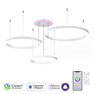 Подвесная люстра Дуэт Смарт CL719A700