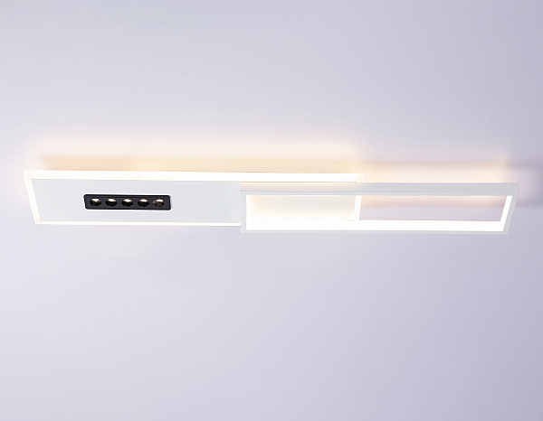 Светильник потолочный LineTech FL51453