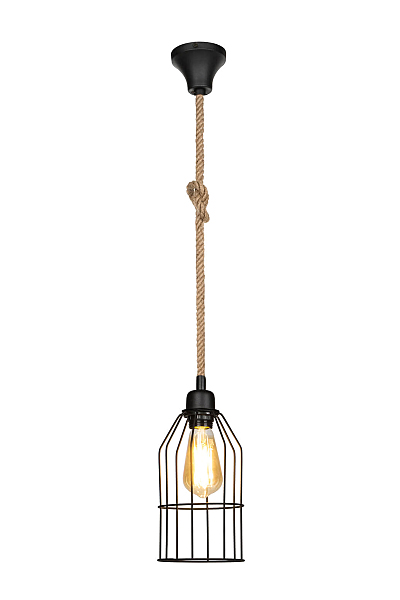 Светильник подвесной Alfreda TL1601H-01BK
