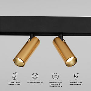 Трековый светильник Slim Magnetic 85056/01 Slim Magnetic Умный трековый светильник 14W 2700-6500K Dim Dual (латунь)